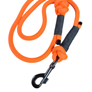 Tauleine Neonorange