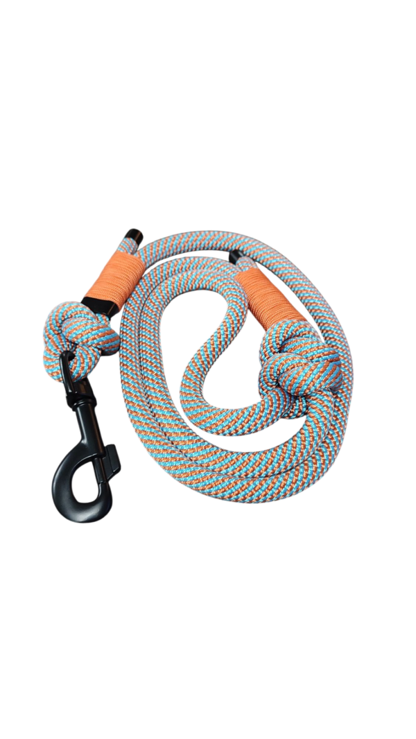 Tauleine Orange Stripes