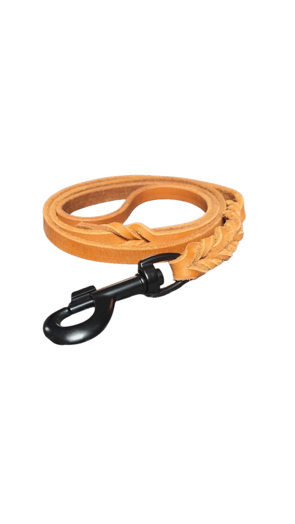1m Lederleine Cognac