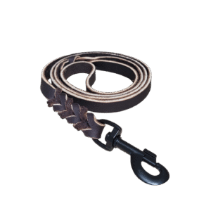 Lederleine Taupe Special Edition