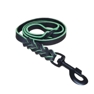 Lederleine Apfel Special Edition