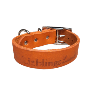 Halsband Lieblingshund orange