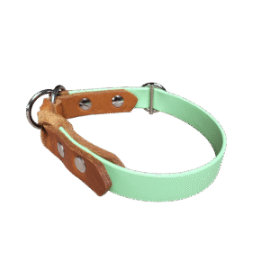 Zug Stopp Halsband RegenFest Apfelgrün