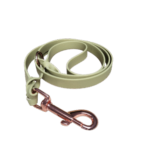 Leine aus wasserabweisendem Gurtband Khaki